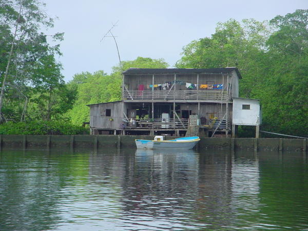 Mangrove side residence