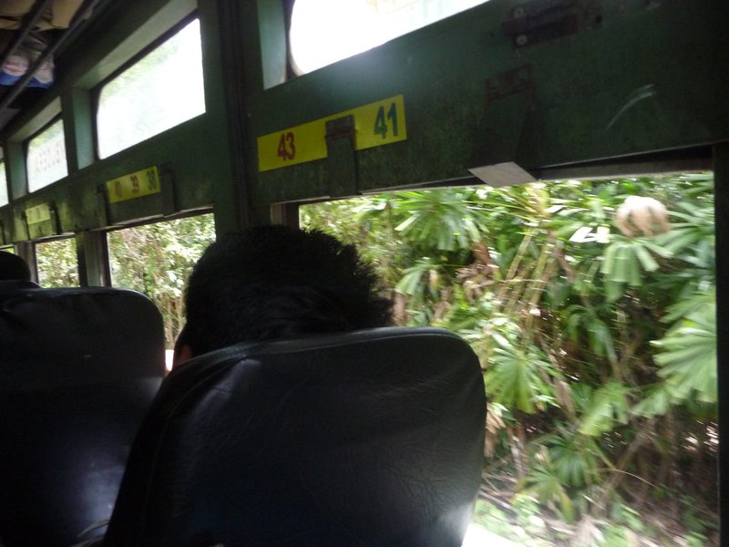 Andaman-Bus