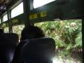 Andaman-Bus