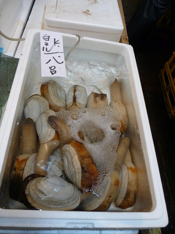 Tokyo-des palourdes royales au marché de poisson