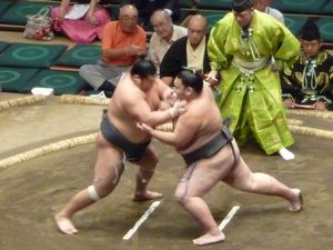 Tokyo-Sumo, combat