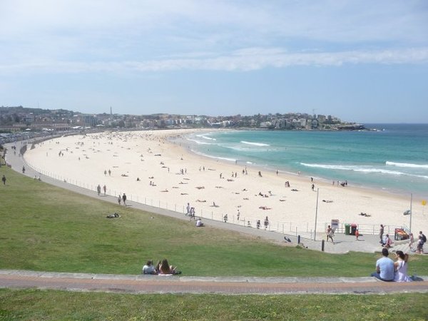 Bondi