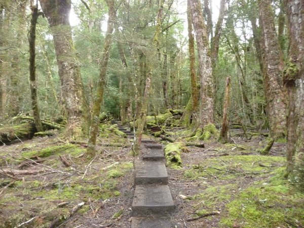 King Billy track (4)