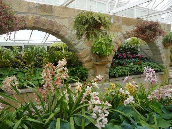 Orchid conservatory (2)
