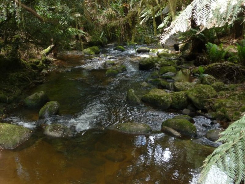 Stream near the Falls (2)
