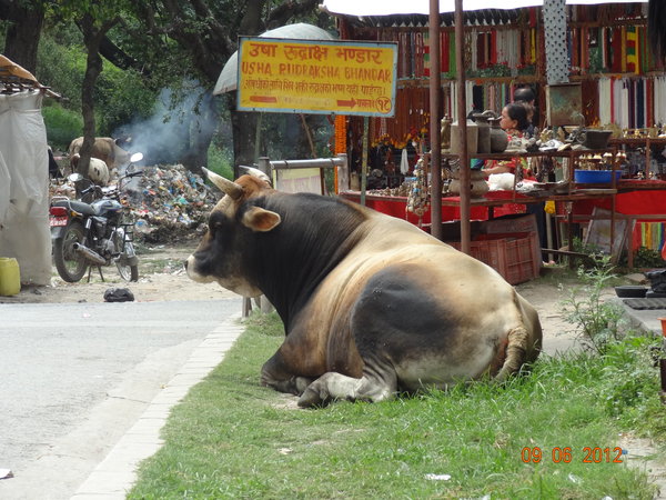 Typical street scene in Kathmandu