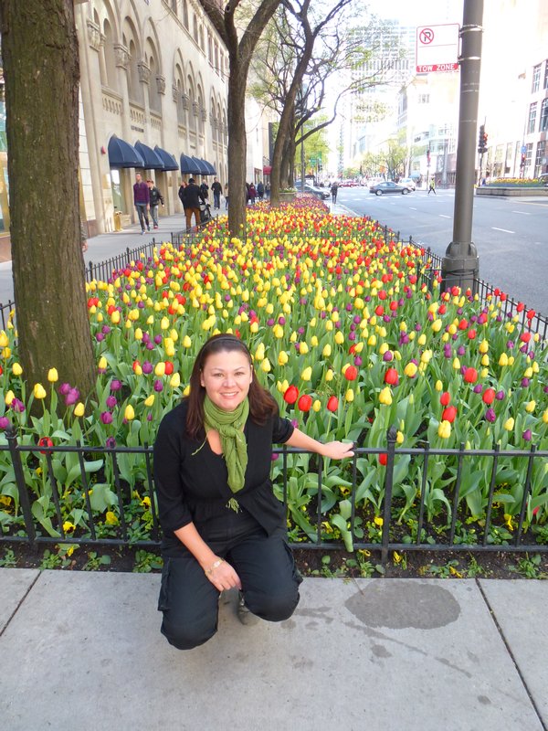 NLS and the tulips