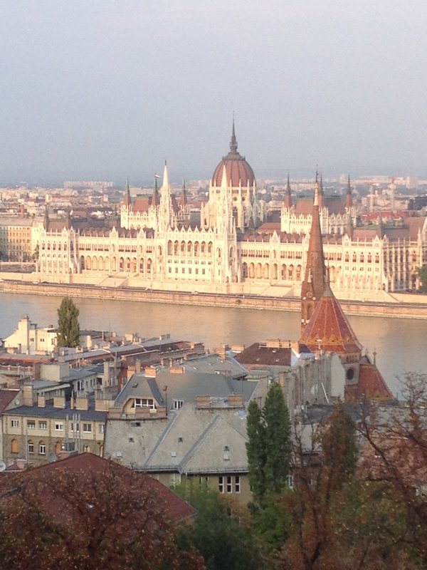 Parliament from Buda