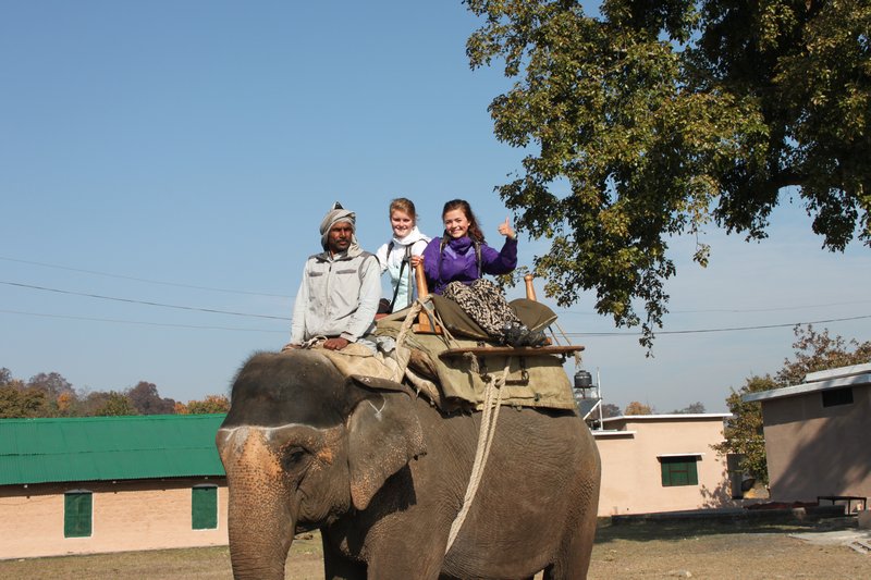 Elefantsafari.