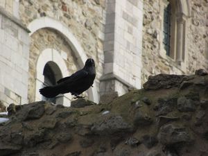 Tower of London (16)