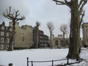 Tower of London (20)