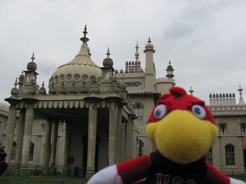 Cocky and The Royal Pavillion