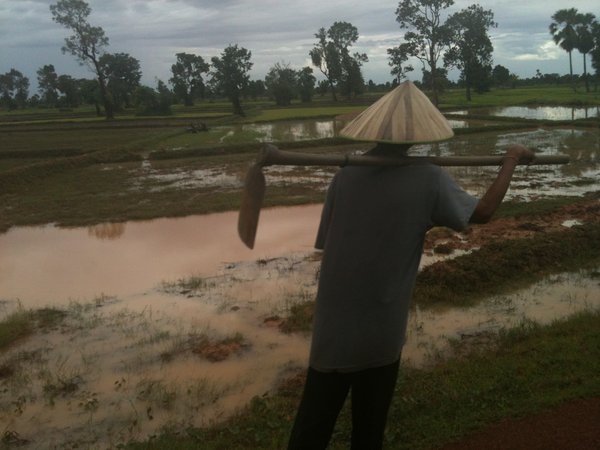 Local Cambodian Farmer