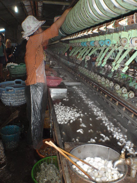Silk Worm Factory