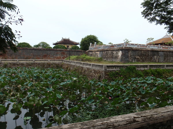 The moat & lilies
