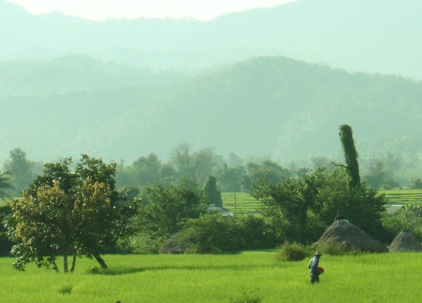 Pai Countryside