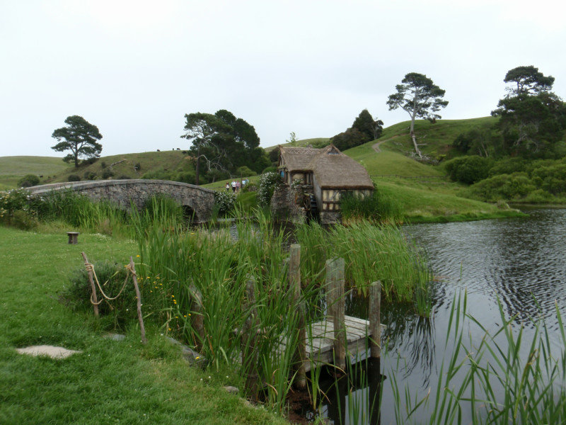 The shire