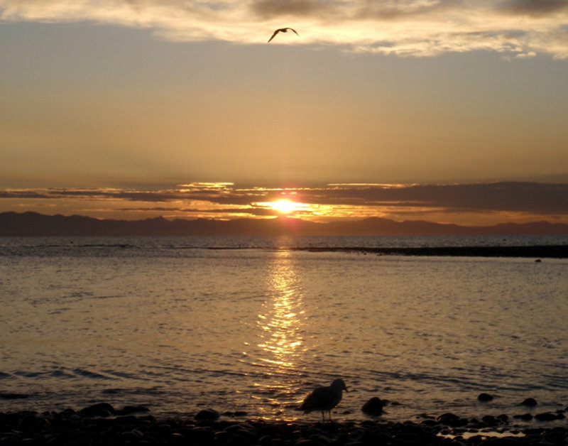 Last NZ Sunrise