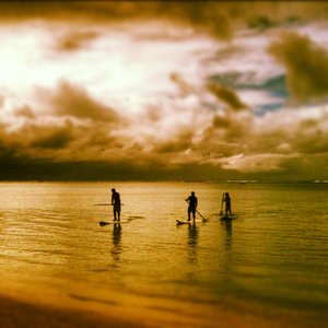 Paddle Boarders at the Beach House