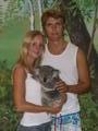 Koala cuddle
