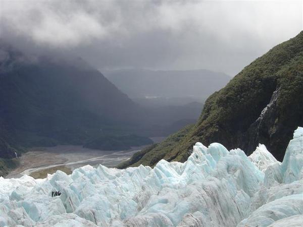 Rainforest Surrounding Franz Josef Glacier