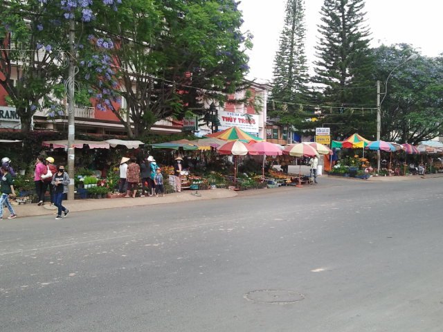 Street flower vendors