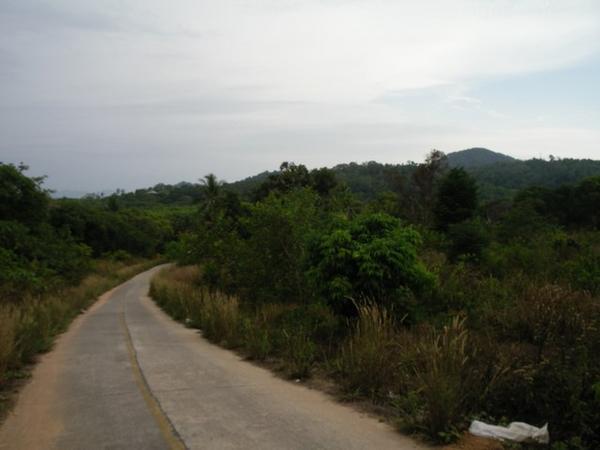 The main road, Koh Phayam