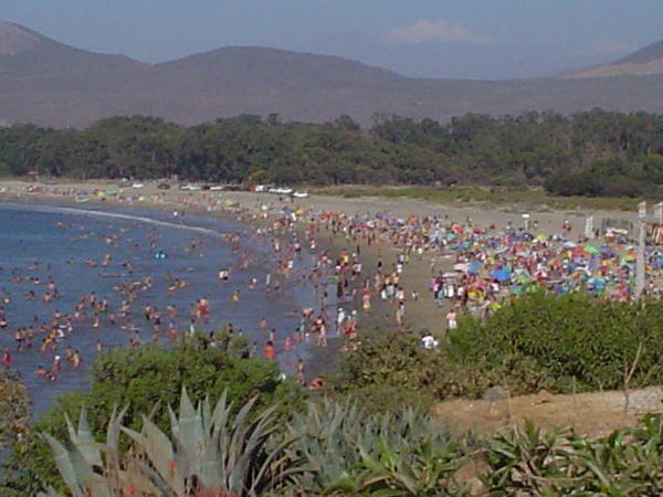 Pichidangui beach