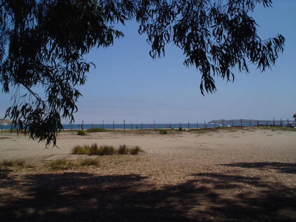 near of beach