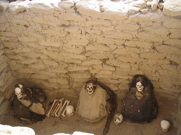 Mummies - and their dreadlocks!