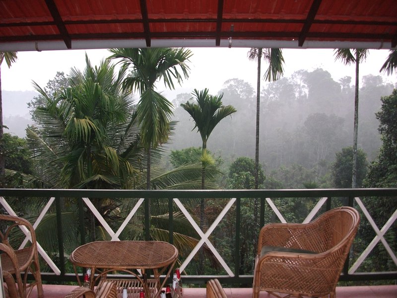 Our balcony and the view of the jungle/plantation behind
