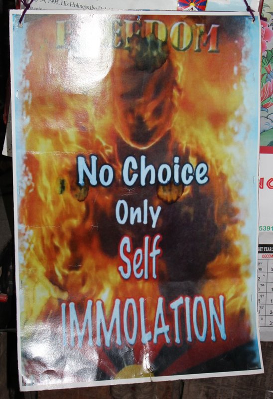 A rather shocking poster at the Tibetan self help centre