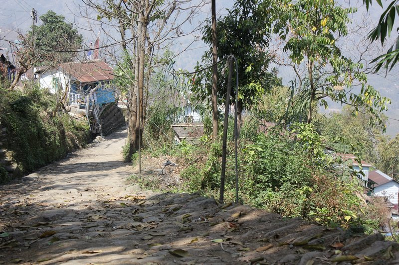 Typical street scene on walk from Darjeeling to Karmi Farm