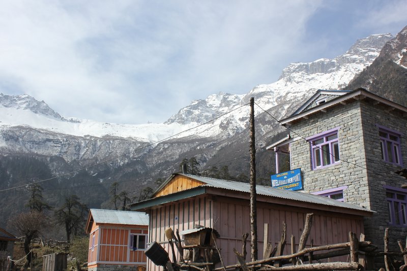 Annapurna range from the village of Timang