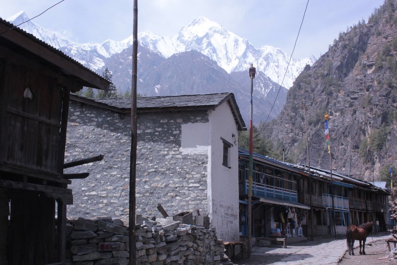 Annapurna range from the village of Koto