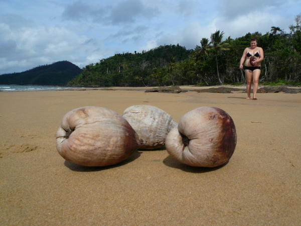 I've got a loverrrly bunch of coconuts, did er lee dee. . . .