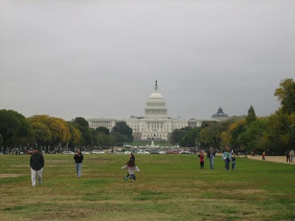 The Capitol and the Mall