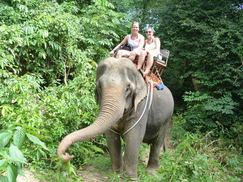 Our wheels for the day, Pim the elephant!