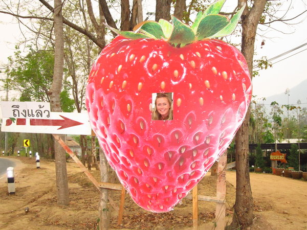 Giant strawberry