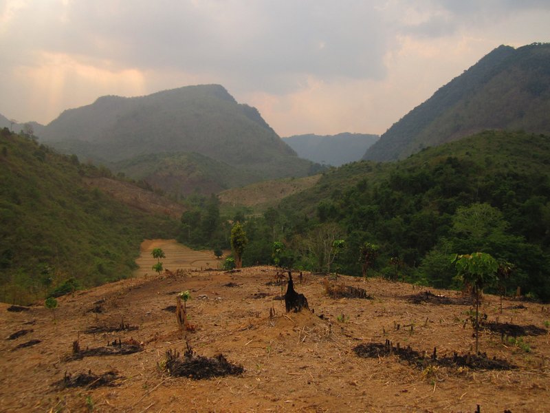 Buring areas for crops, a common sight on our trek
