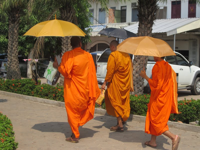 Monks and their brollies