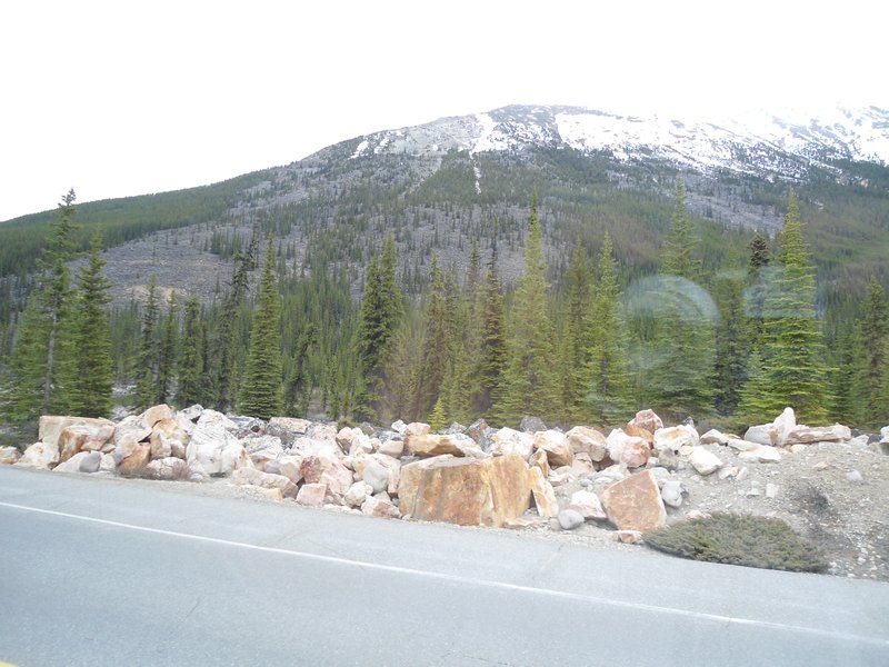 Remnants of an ancient landslide along Icefields Parkway