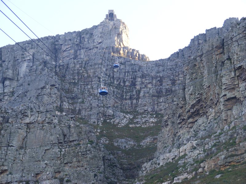 Cable Car to top of Table Mtn