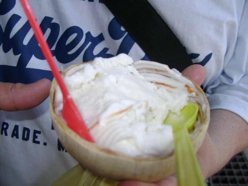 Homemade Coconut Ice Cream