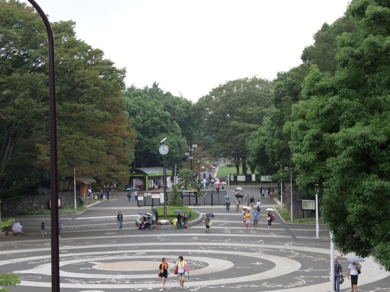 Yoyogi park