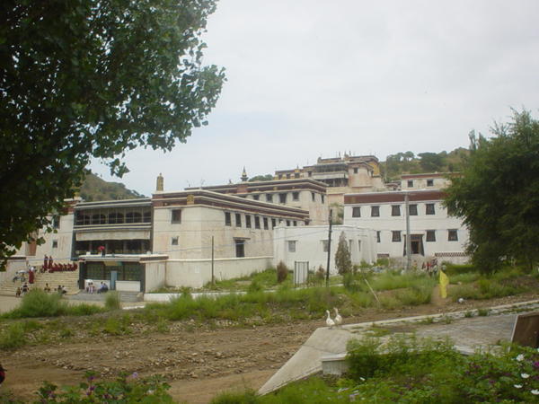 Wudang Monastery 五當召