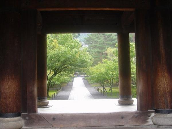 Long leafy avenue inside Kyoto Temple