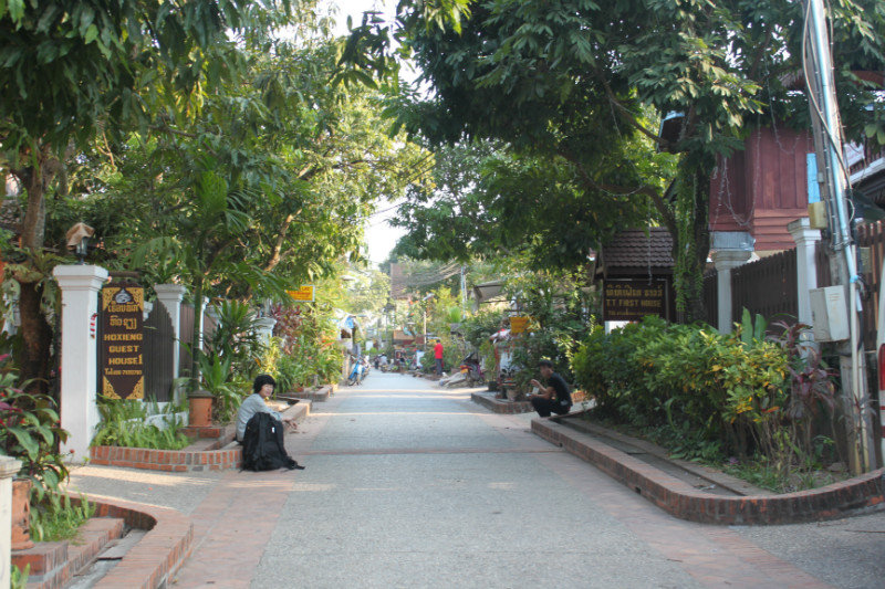 Shady lane in Luang Prabang