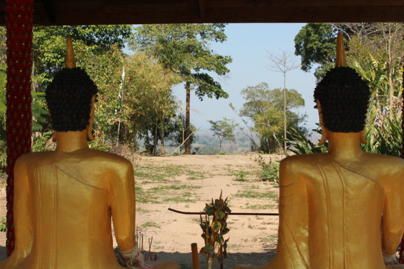 Gold Buddha's view