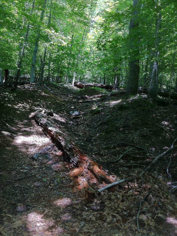 A portion of the trail